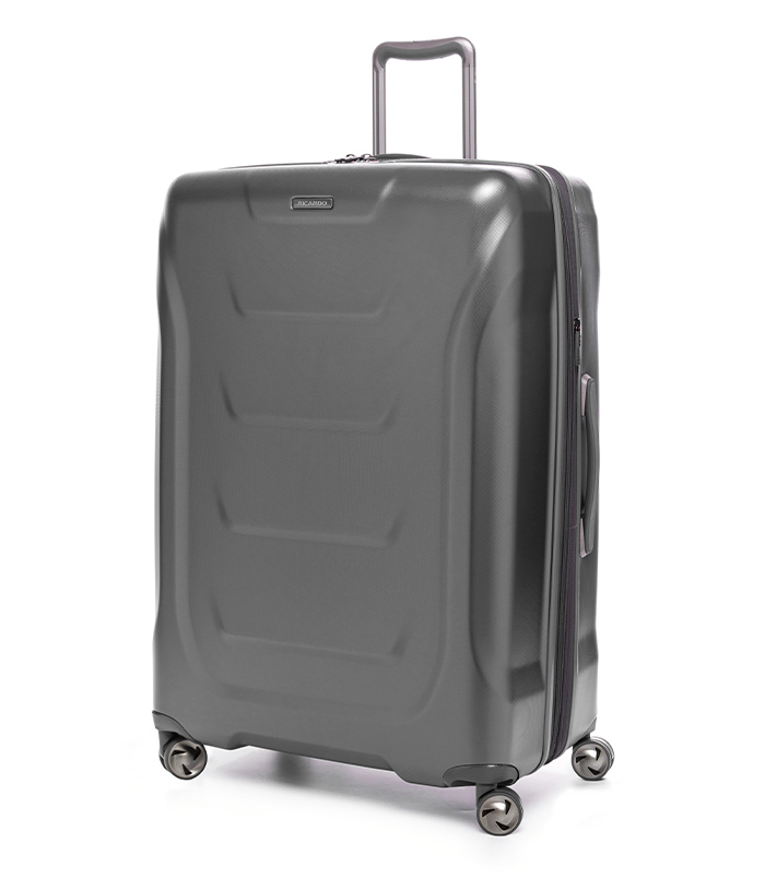 Vali Ricardo Tioga 2.0 Size L (29 inch) - Titanium