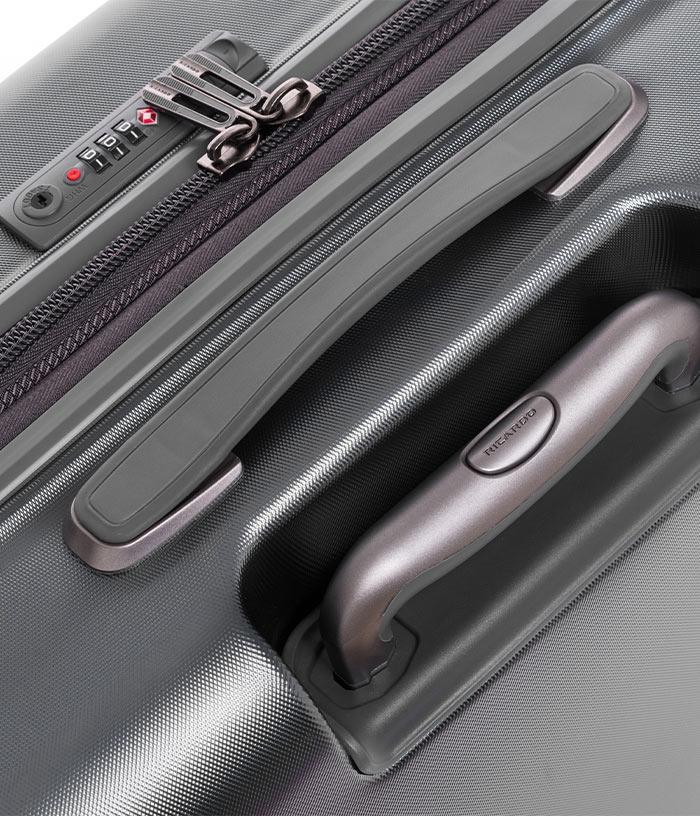 Vali Ricardo Tioga 2.0 Size L (29 inch) - Titanium