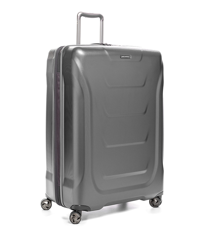 Vali Ricardo Tioga 2.0 Size L (29 inch) - Titanium