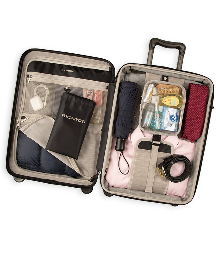 Vali Ricardo Palm Springs Front-Opening 2.0 Hs (21 Inch) - Onyx