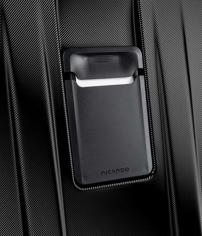 Vali Ricardo Palm Springs Size M (25 inch) - Onyx