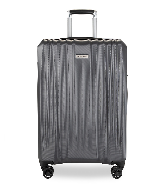 Vali Ricardo Wellington 2.0 HS size M (24 inch) - Gun Metal