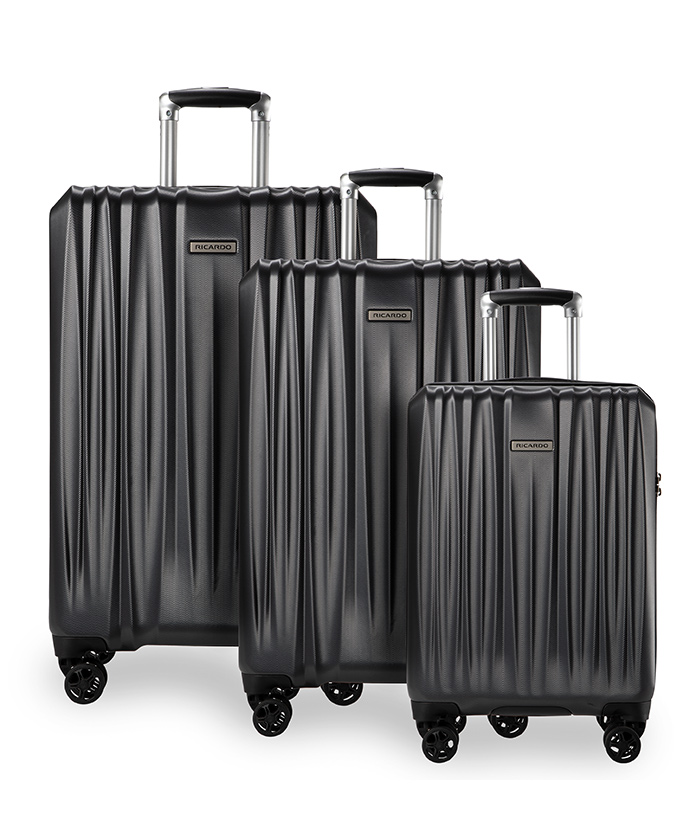 Vali Ricardo Wellington 2.0 HS size S (20 inch) - Gun Metal