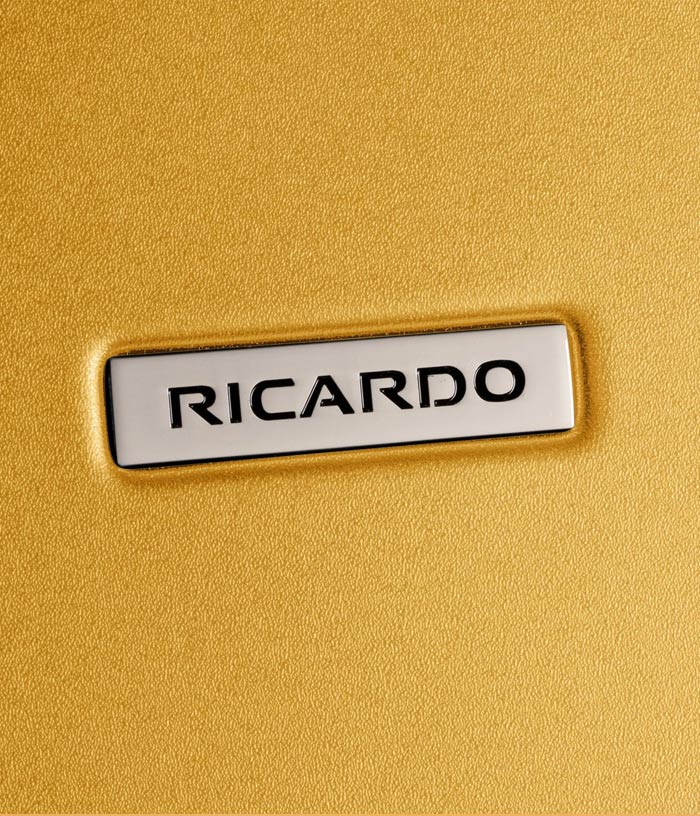 Vali Ricardo Cambria HS size L (29 inch) - Mango