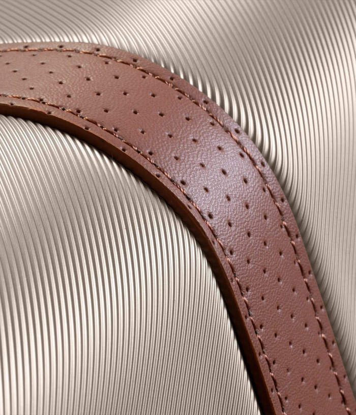 Vali Ricardo Montecito 2.0 HS size M (25 inch) - Champagne