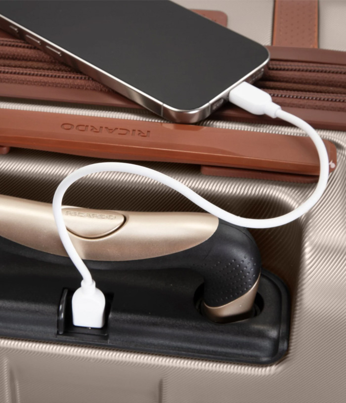 Vali Ricardo Montecito 2.0 HS size S (21 inch) - Champagne