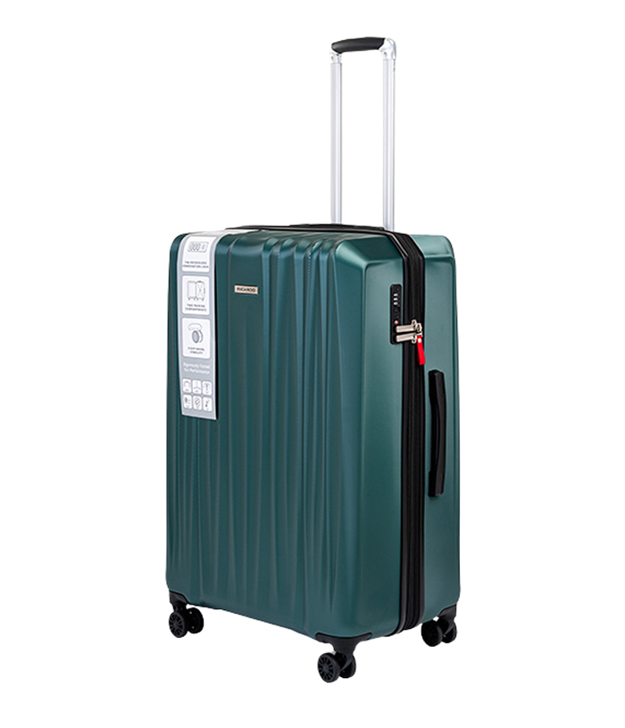 Vali Ricardo Wellington 2.0 HS size L (28 inch) - Green Forest