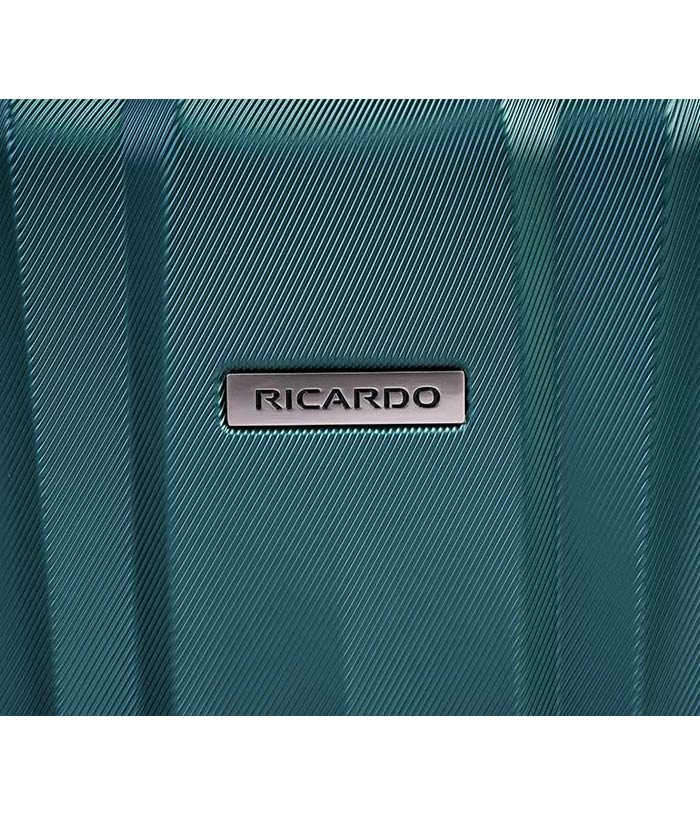 Vali Ricardo Wellington 2.0 HS size S (20 inch) - Forest Green