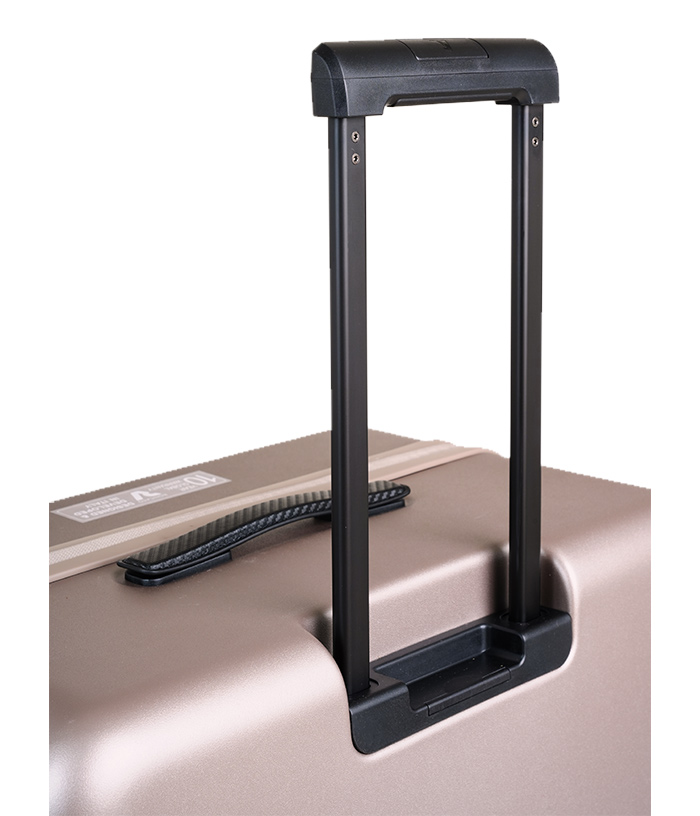 Vali Roncato Florence Size S (20 inch) - Champagne