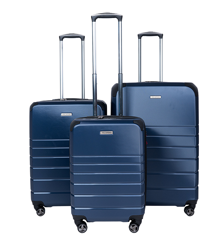 Vali Ricardo Oceano HS size L (28 inch) - Bowed Blue