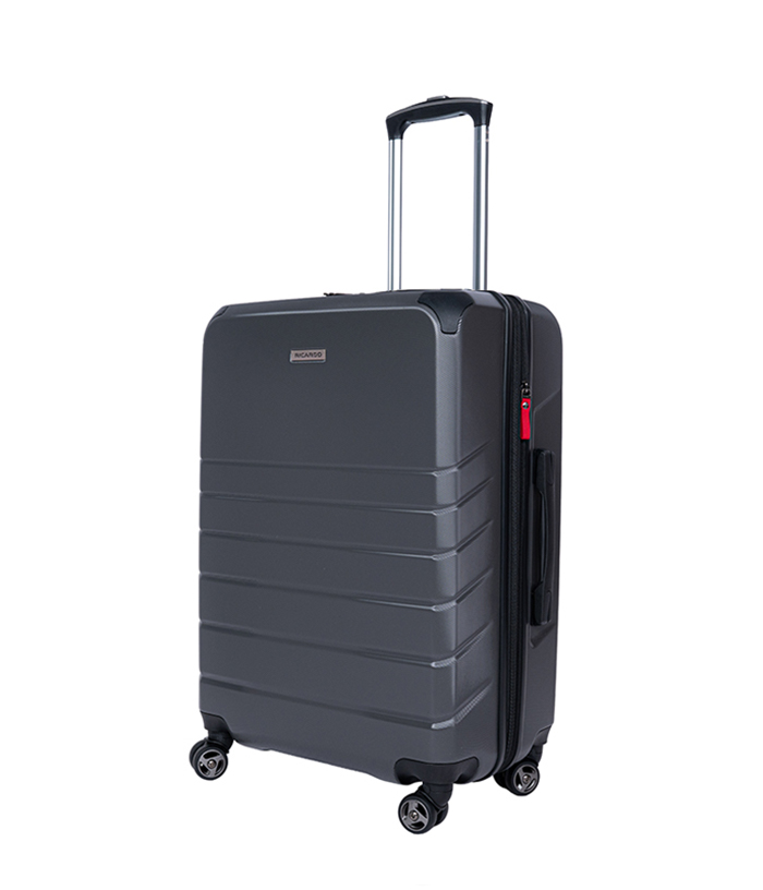 Vali Ricardo Oceano HS size M (24 inch) - Graphite
