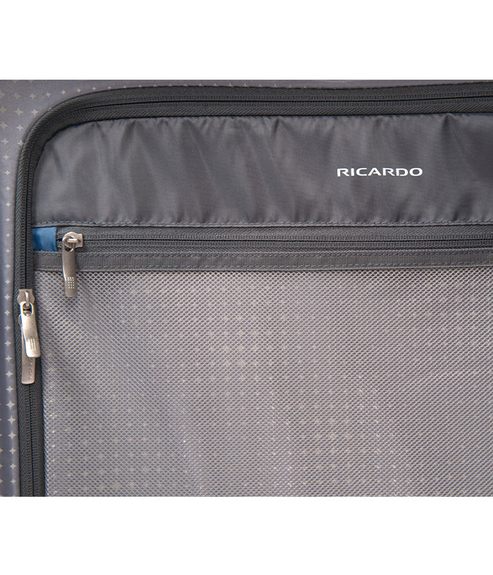 Vali Ricardo Monte Lite size L (29 inch) - Champagne