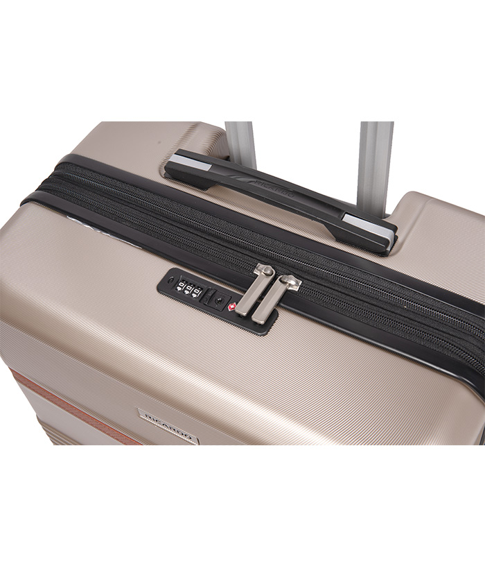 Vali Ricardo Monte Lite Size M (25 inch) - Champagne