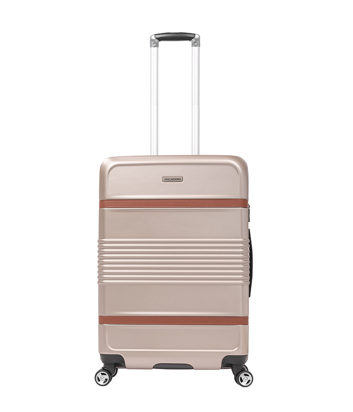 Vali Ricardo Monte Lite size S (20 inch) - Champagne