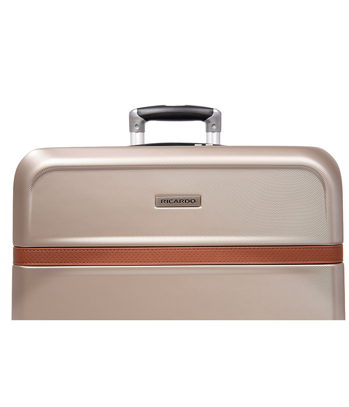 Vali Ricardo Monte Lite size S (20 inch) - Champagne