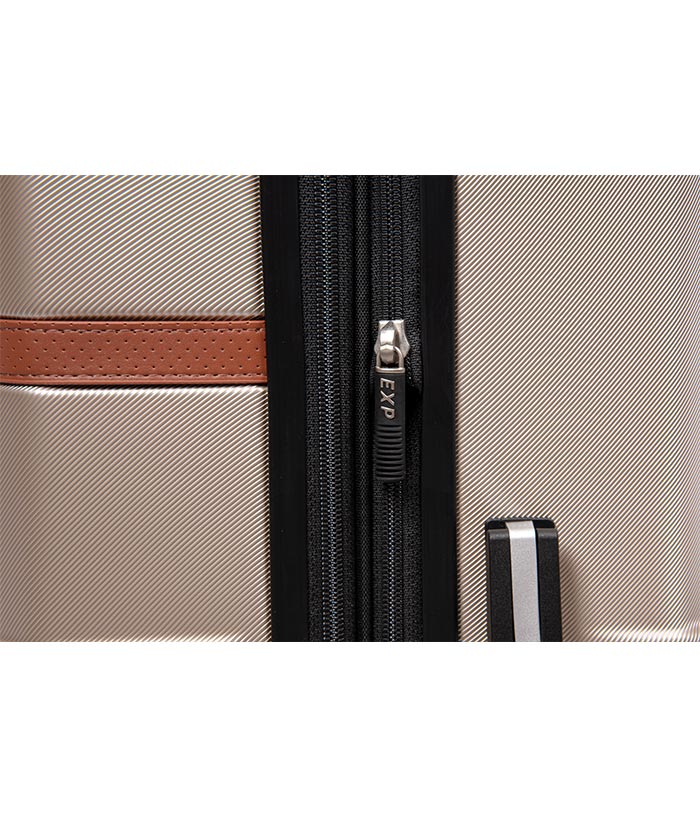 Vali Ricardo Monte Lite size S (20 inch) - Champagne